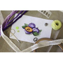 MP Studia - Ripe plums