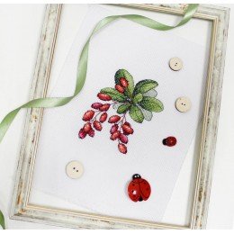 MP Studia - Barberry