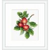 MP Studia - Ripe rosehip