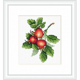 MP Studia - Ripe rosehip