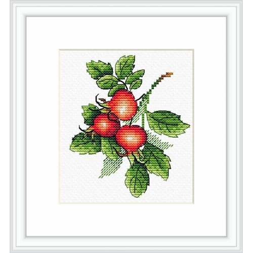 MP Studia - Ripe rosehip