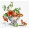 MP Studia - Nasturtium