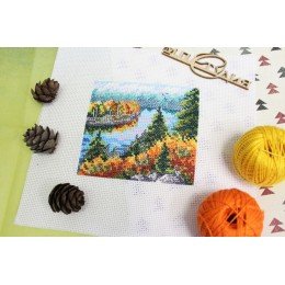 MP Studia - Autumn forest