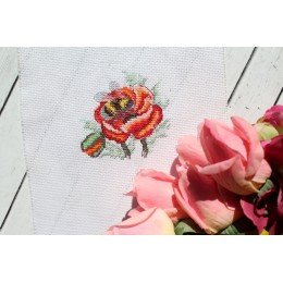 MP Studia - Poppy and bumblebee