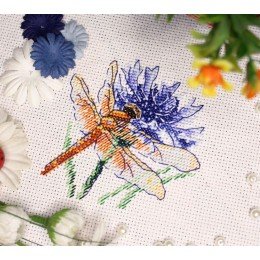 MP Studia - Dragonfly and cornflower