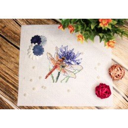 MP Studia - Dragonfly and cornflower