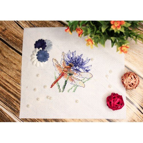 MP Studia - Dragonfly and cornflower