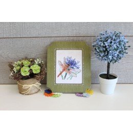 MP Studia - Dragonfly and cornflower