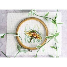 MP Studia - Grasshopper on echinacea