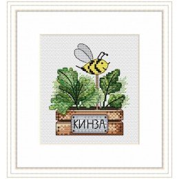 MP Studia - Cilantro