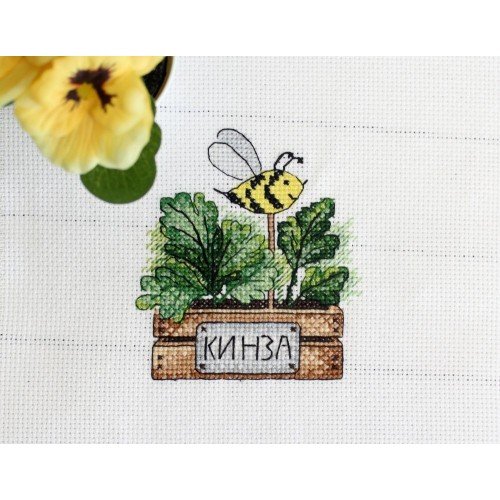 MP Studia - Cilantro