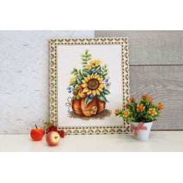 MP Studia - Summer gift