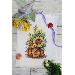 MP Studia - Summer gift