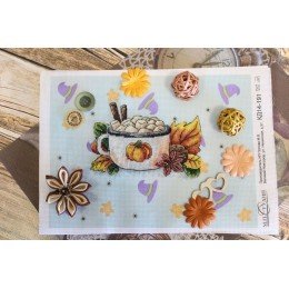 MP Studia - Pumpkin latte