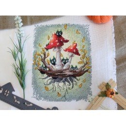 MP Studia - We are here