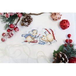 MP Studia - Winter competitions