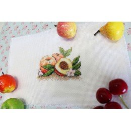 MP Studia - South peach