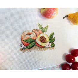 MP Studia - South peach