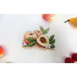 MP Studia - South peach