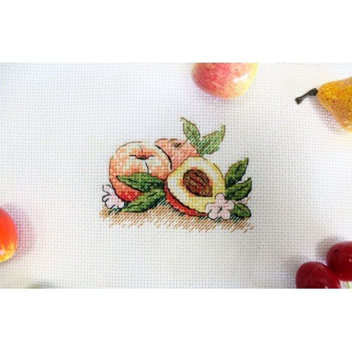 MP Studia - South peach