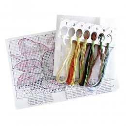 MP Studia - Ripe avocado