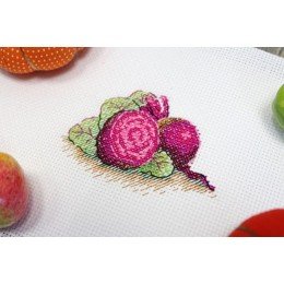 MP Studia - Sugar beet