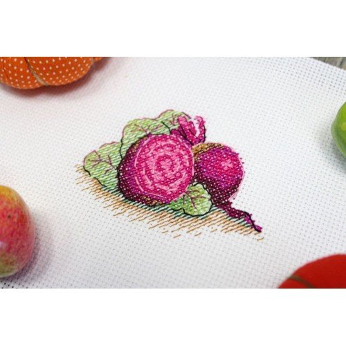 MP Studia - Sugar beet