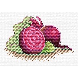 MP Studia - Sugar beet