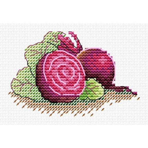 MP Studia - Sugar beet