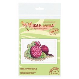 MP Studia - Sugar beet