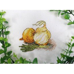 MP Studia - Golden onion