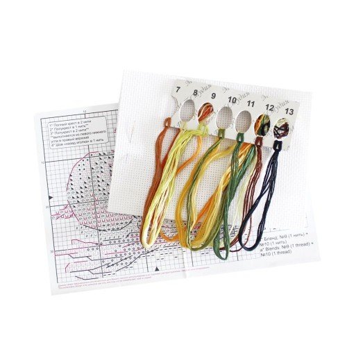 MP Studia - Golden onion