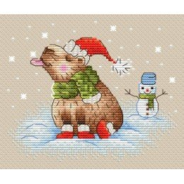 MP Studia - Walk in the cold