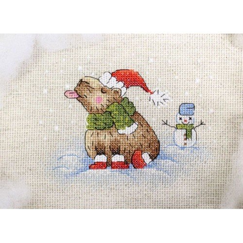 MP Studia - Walk in the cold