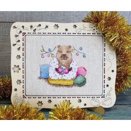 MP Studia - Warm evening