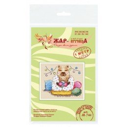 MP Studia - Warm evening