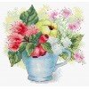 MP Studia - Summer assorted