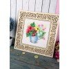 MP Studia - Summer assorted