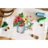 MP Studia - Summer assorted