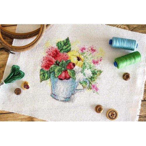 MP Studia - Summer assorted