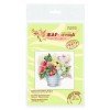 MP Studia - Summer assorted