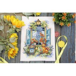 MP Studia - Waiting for news