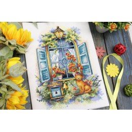 MP Studia - Waiting for news