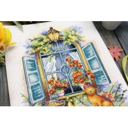 MP Studia - Waiting for news