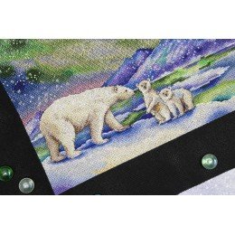 MP Studia - At the north pole