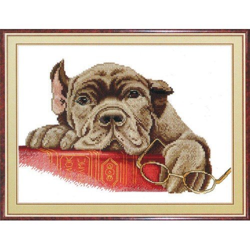 MP Studia - Sherlock