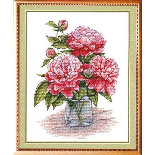 MP Studia - King favourite