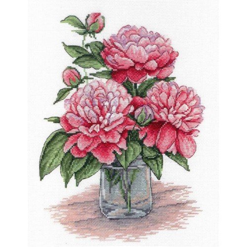 MP Studia - King favourite