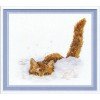 MP Studia - Cat in the snow