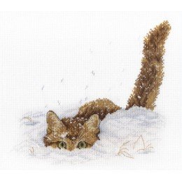 MP Studia - Cat in the snow